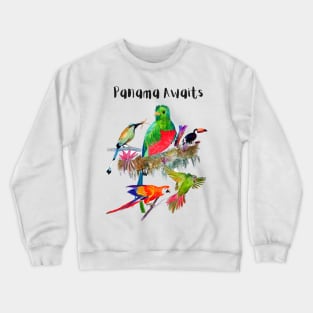 Latin America Adventure - Panama Awaits Crewneck Sweatshirt